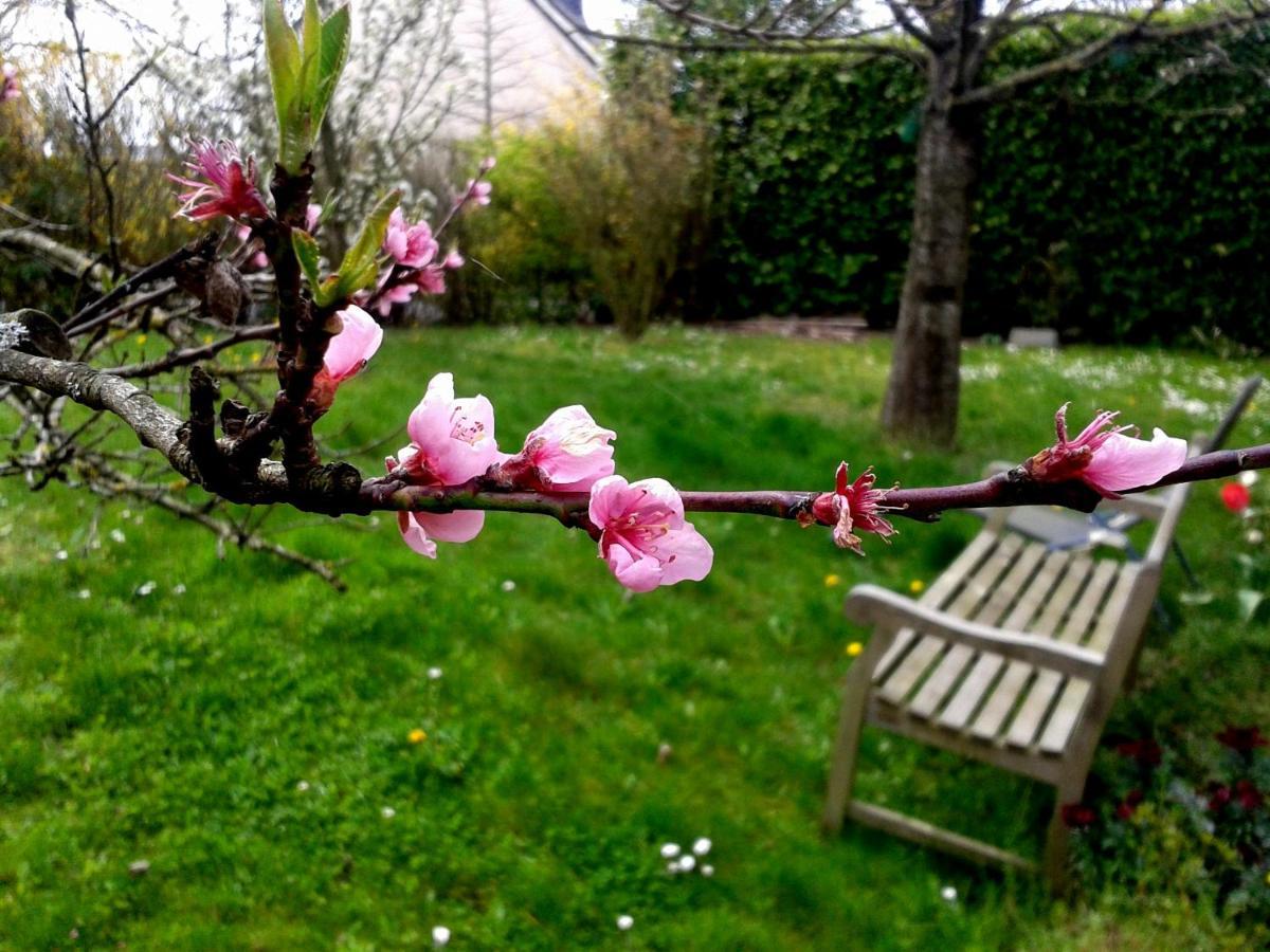 Maison La Chapelle Bed and Breakfast Buitenkant foto